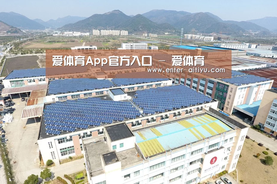 案例展示三