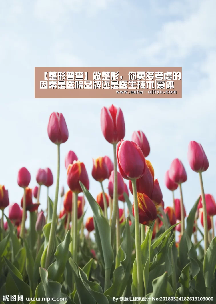 【整形普查】做整形,你更多考虑的因素是医院品牌还是医生技术|爱体育App(图2) 爱体育App